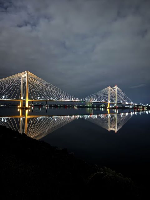 Cable bridge between Kennewick and Pasco at night.